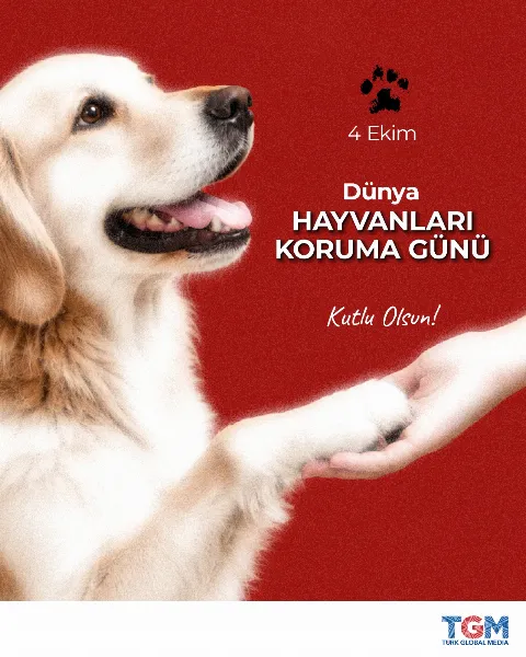 Dünya Hayvanlar Günü 4 Ekim’de Kutlanıyor