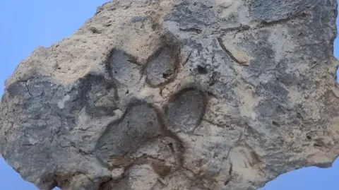 Tavşanlı Höyük'te 4 bin yıllık pati izi bulundu