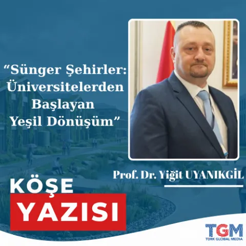 Sünger Şehirler: Üniversitelerden Başlayan Yeşil Dönüşüm
