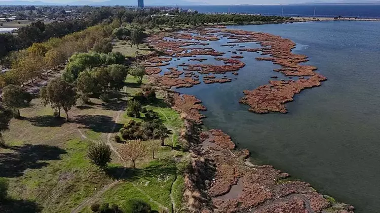 Çakalburnu Lagünü’nde sonbahar manzarası