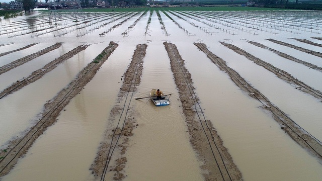 WMO: Milyonlarca insan tehlikeli hava olaylarına karşı savunmasız