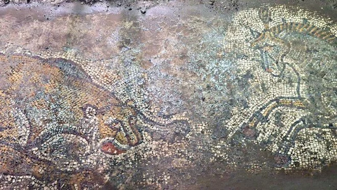 Mardin'de tarihi eser operasyonu