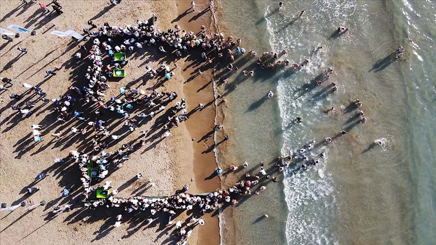 Muğla'da tedavileri tamamlanan deniz kaplumbağaları denizle buluştu