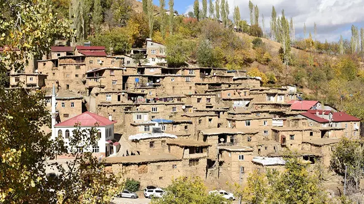 Bitlis'te 300 yıllık taş yapıların korunması için çalışma başlatılacak