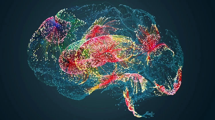 Bilim insanlarından önemli keşif