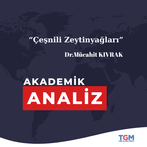 Çeşnili Zeytinyağları