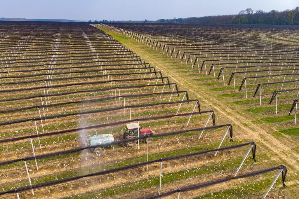 Brüksel, pestisitlerde rutin yeniden onay sürecini kaldırmaya hazırlanıyor