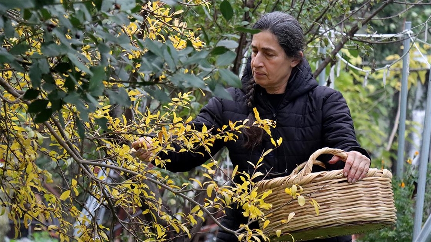 El emeği ipeği özgün tasarımlara dönüştürüyor