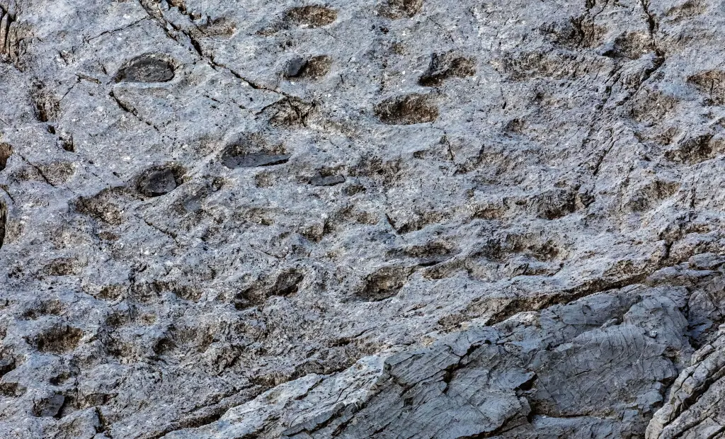 İtalya’da Binlerce Dinozor Ayak İzi Keşfedildi