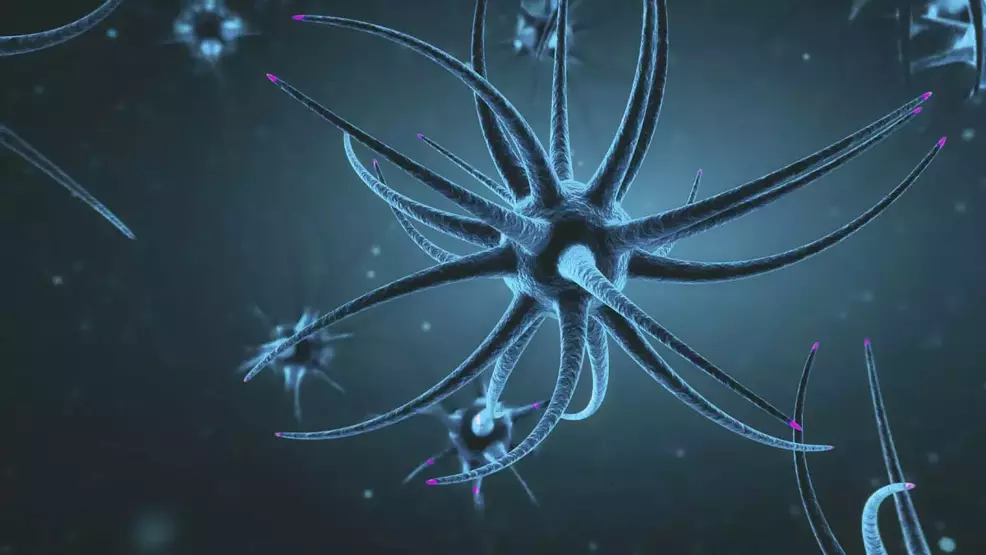 MS’in iki yeni biyolojik alt tipi yapay zeka ile ortaya çıkarıldı!