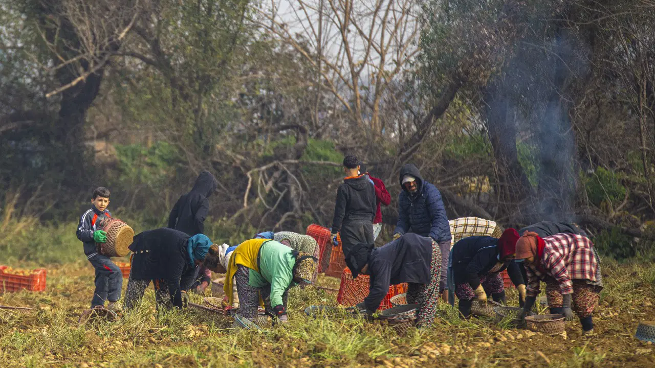 Hasadı gün doğumuyla başlayıp gün batımında bitiyor!