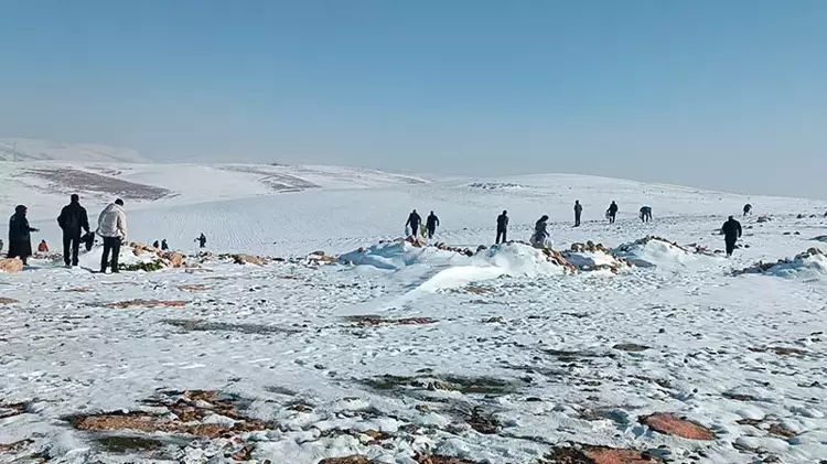 Batman’da yaban hayvanları için doğaya 1 ton yem bırakıldı