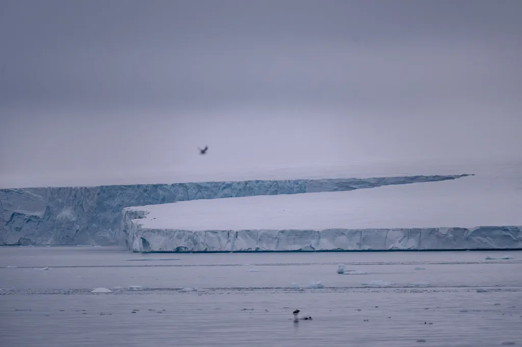 İtalya, Kutup Yarışı Kızışırken İş Dünyasını Güçlendirmek İçin Arktik Stratejisini Açıkladı