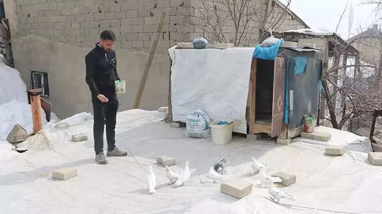 Evinin damında 3 ırktan 50 güvercin besliyor