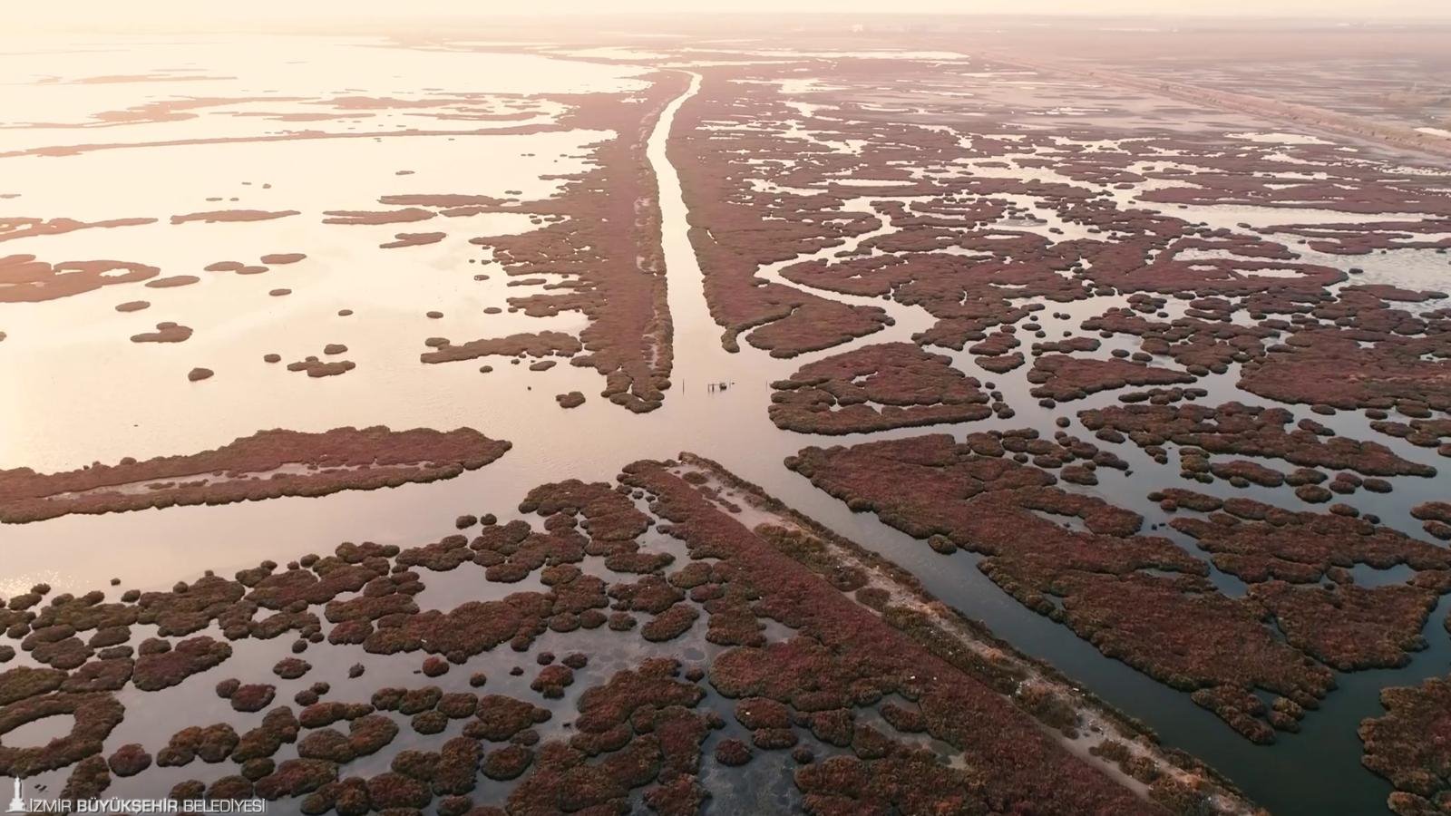 Gediz Nehri mercek altında