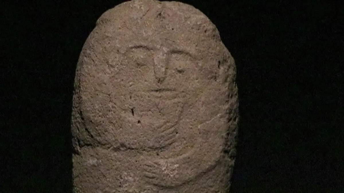 Erzurumlu çiftçi hayvan otlatırken buldu.