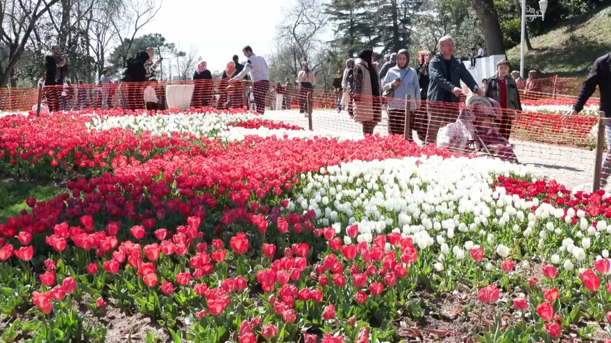İstanbul'da Lale zamanı başladı