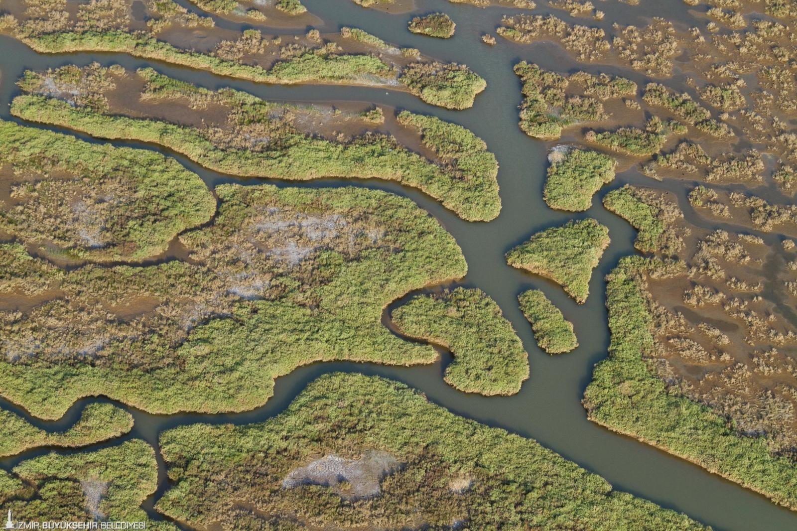 Gediz Havzası’nda kirlilik artıyor