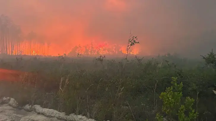 ABD'de orman yangınlarında 120'den fazla ev yandı