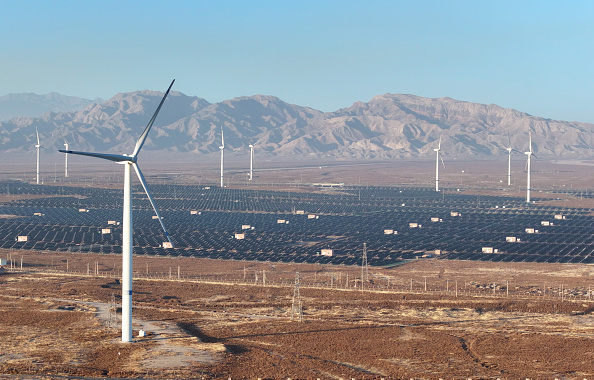 BM iklim şefi: Yenilenebilir enerjinin avantajları artık “görmezden gelinemez”