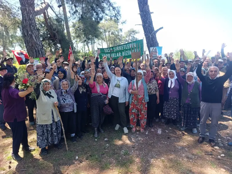 Danıştay'dan Akbelen kararı