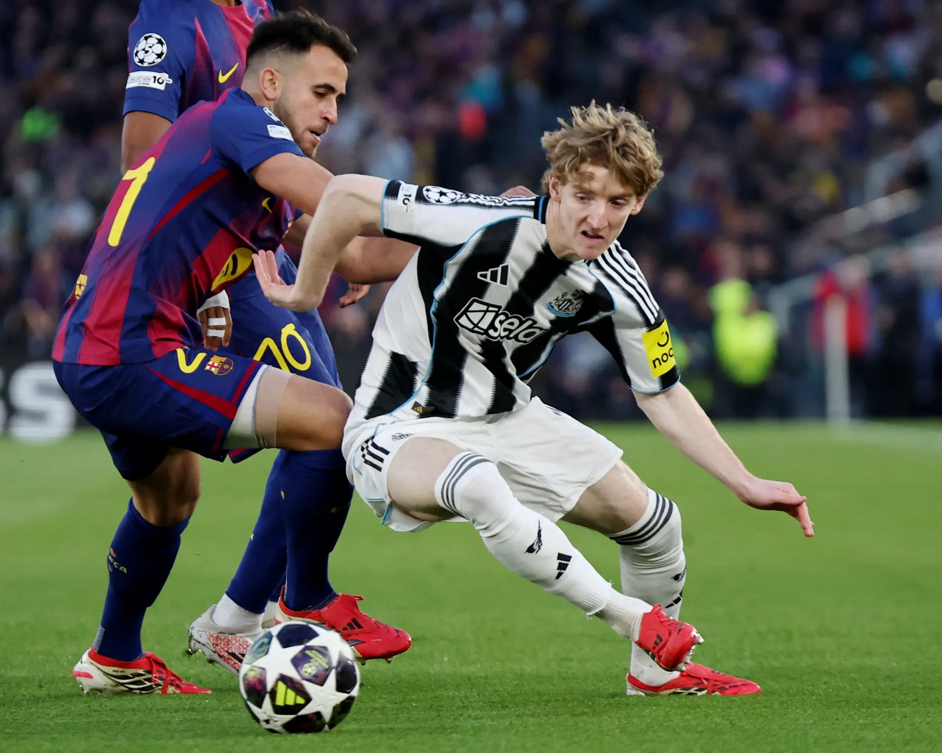 Barcelona ve Newcastle United, Anthony Gordon transferi için anlaştı