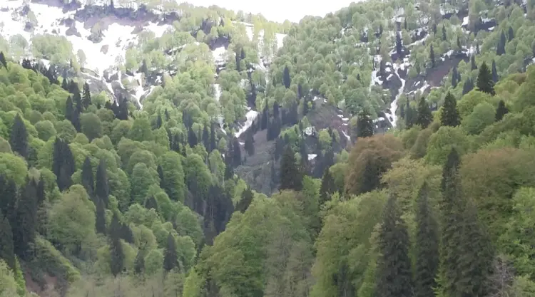 Karagöl, bayramda yerli ve yabancı turistleri ağırladı