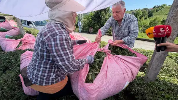 Rize’de çay üreticilerin isyanı