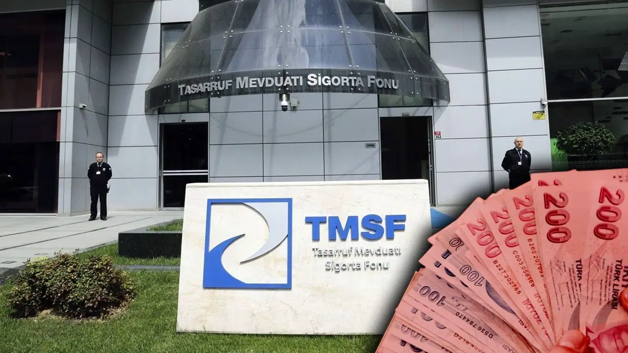TMSF, Assan Group'u satışa çıkardı: Fiyat belli oldu