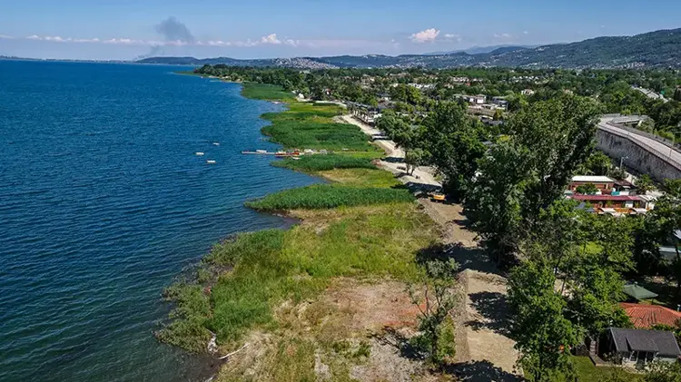 Temizliğin ardından Sapanca Gölü'nde sağlıklı sazlıklar yeniden oluştu