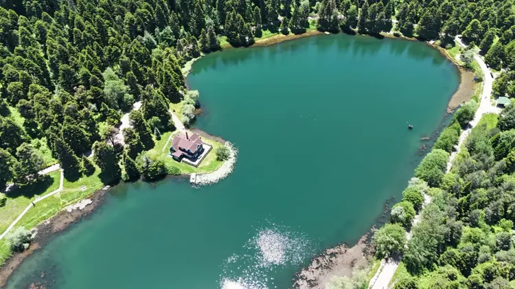 Gölcük’te çam ormanları dronla görüntülendi