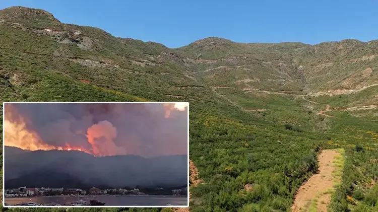 Muğla'da yanan alanlar yeşil örtüye kavuştu