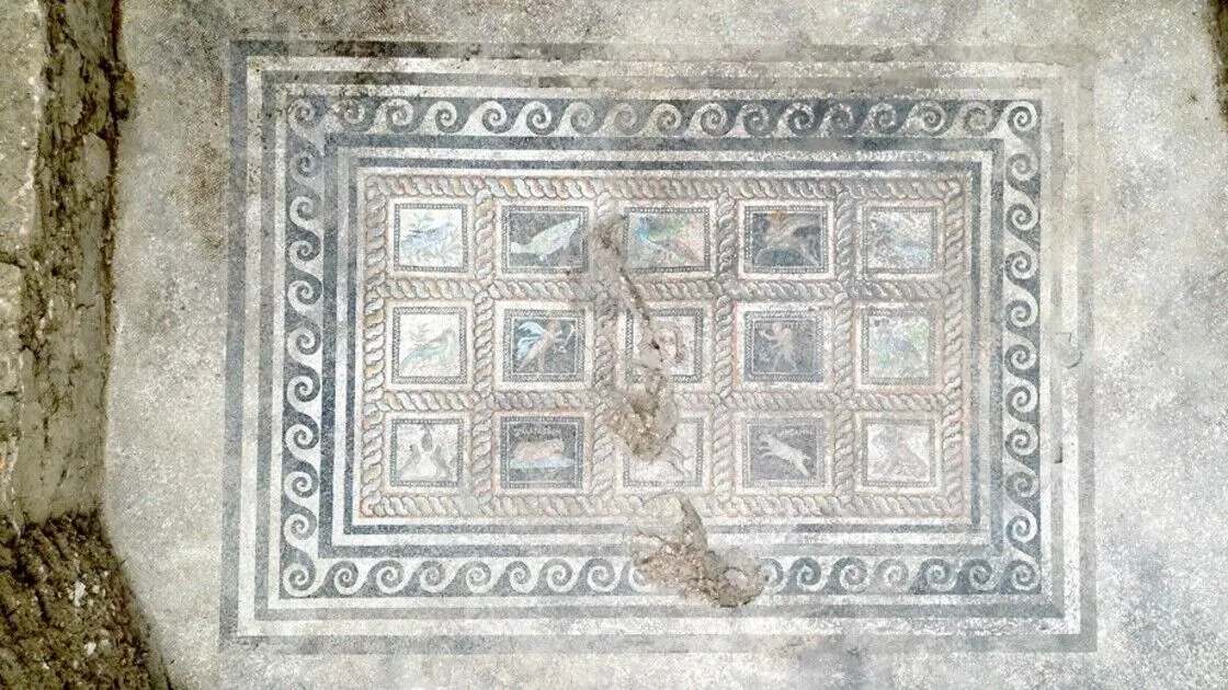 Adramytteion Antik Kenti'nde villa ortaya çıkarıldı