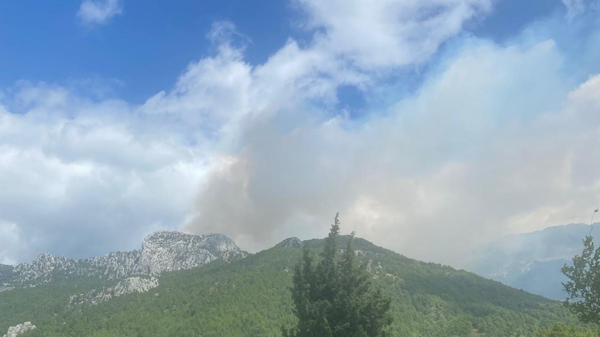 Antalya'da orman yangını çıktı