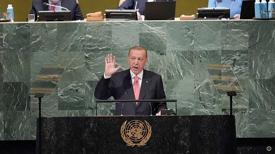 Cumhurbaşkanı Erdoğan'dan Veto Çağrısı