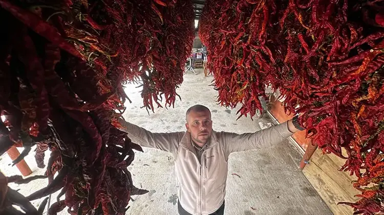 Edirne Karaağaç biberinde kurutma dönemi başladı