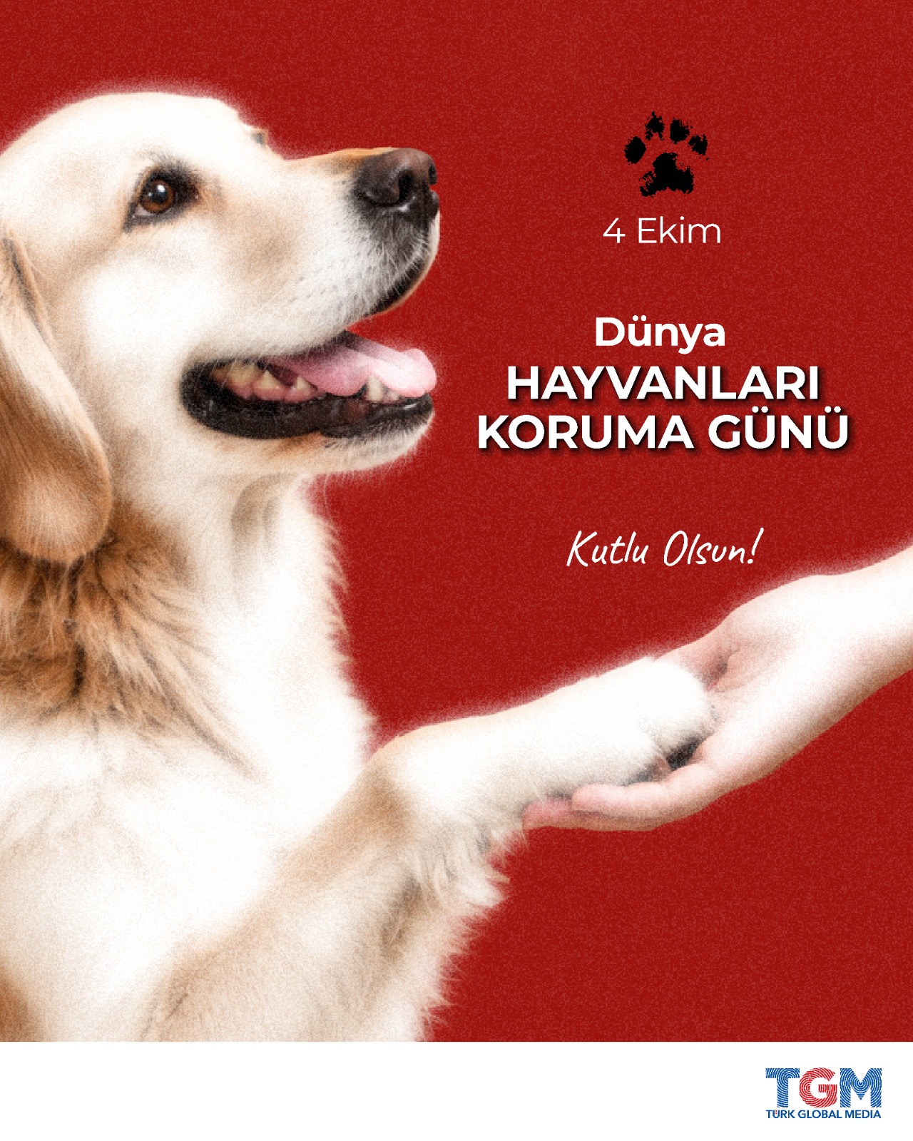 Dünya Hayvanlar Günü 4 Ekim’de Kutlanıyor