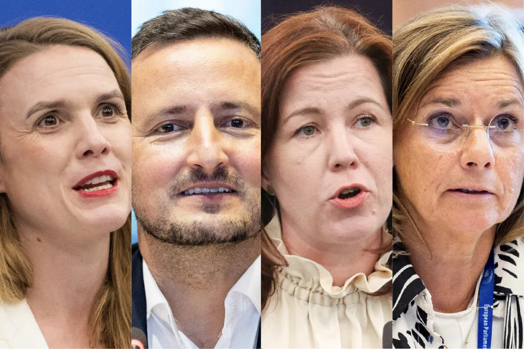 AB Parlamentosu’nda Yeşillerin liderlik yarışı