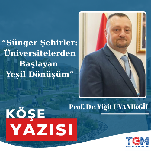 Sünger Şehirler: Üniversitelerden Başlayan Yeşil Dönüşüm