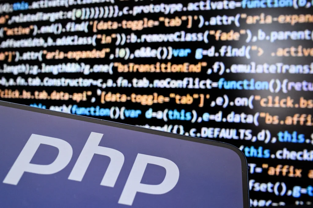 Programlama dili tabanlı siber güvenlik açığı nasıl oldu?