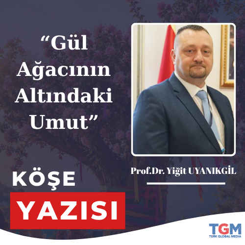 Gül Ağacının Altındaki Umut